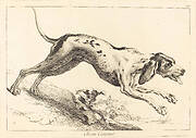 Chien courent (Running Hound)