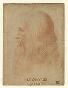 Portrait of Leonardo da Vinci in profile