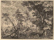 Woodland Scene