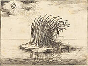 The Reeds and the Wind