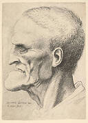 Head of an old man with a pronounced chin, short cropped hair and gaping mouth showing teeth in profile to left