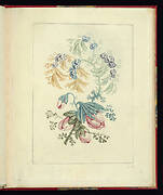 Ornamental Design with Small Blue Flowers, from Nouvelle suite de cahiers de flerurs naturelle a l'usage des dessinateurs et des peintres, No.1