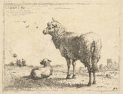 A mature sheep in three-quarters view standing and looking left, beside it a lamb lies on the grass