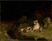 Tiger and Cubs