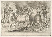 Hercules and the Oxen of Geryones: with a club raised by his right hand, Hercules confronts a group of galloping oxen, from the series 'The Labors of Hercules'