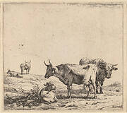 Cow, Bull and Calf