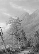 Eagle's Nest, Franconia Notch