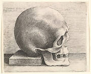 Skull in profile to right