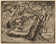 Untitled (Wooded Landscape)