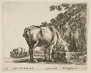 Plate 12: a cow drinking from a stone trough, other cows to left in background, from 'Diversi capricci'