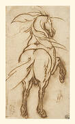 Study of a Rearing Horse