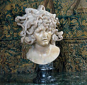 Bust of the Medusa