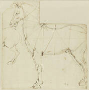 A horse with lines of proportion