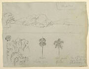 Sketches from Colombia: Bank of a River or Bay, and Trees.