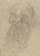 The head of an old bearded man in profile