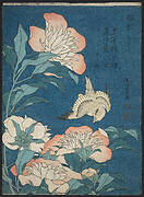 Peonies and Canary (Shakuyaku, kanaari), from an untitled series known as Small Flowers