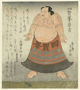 A Sumo Wrestler