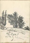 Trees, Bushes and Vegetation (Smaller Italian Sketchbook, leaf 40 recto)