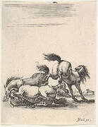 Several horses fighting, one horse to right kicking two horses on the ground below to left, other horses fighting in the background, from 'Various cavalry exercises' (Diverses exercices de cavalerie)