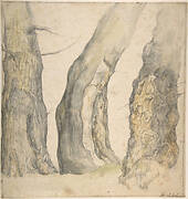 Study of Three Old Gnarled Trees