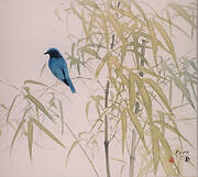 Bird song in the bamboo