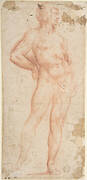 Standing Nude Man (Bacchus)