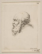 Head of a Bald and Bearded Old Man in Profile, from 'Various heads and figures' (Diverses tétes et figures)