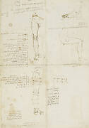 Recto: Studies of human proportion. Verso: The proportions of the leg and foot