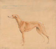 Earl Talbot's Hound, Thomasine