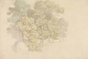 A Group of Trees