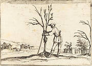 Gardener Pruning a Tree