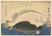 Olive Halibut (Hirame) and Black Rockfish (Mebaru) with Cherry Blossoms, with inscription