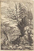 Landscape with a Willow