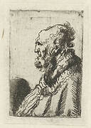 Bald old man with a short beard, in profile right