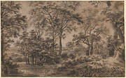 Wooded Landscape