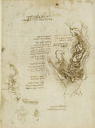 Recto: The viscera of a horse. Verso: The hemisection of a man and woman in the act of coition