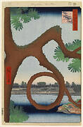 Moon Pine, Ueno, No. 89 from One Hundred Famous Views of Edo