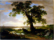 The Solitary Oak (The Old Oak)