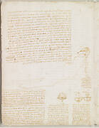 Codex Leicester, f.003v