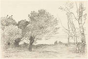 Willows and White Poplars (Saules et peupliers blancs)