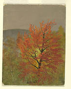 Autumn Landscape (Vermont)