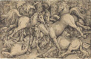 Group of Seven Horses in Woods