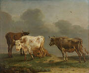 Four Young Bulls in a Meadow