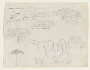 Sketches from South America, probably from Colombia.  Birds, Trees. As in -134.