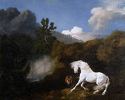 Horse Frightened by a Lion