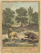 La lionne et l'ours (The Lion and the Bear)