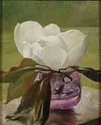 Magnolia Blossom