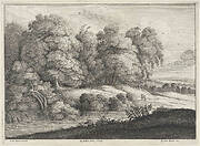 Landschap met rivier aan de bosrand